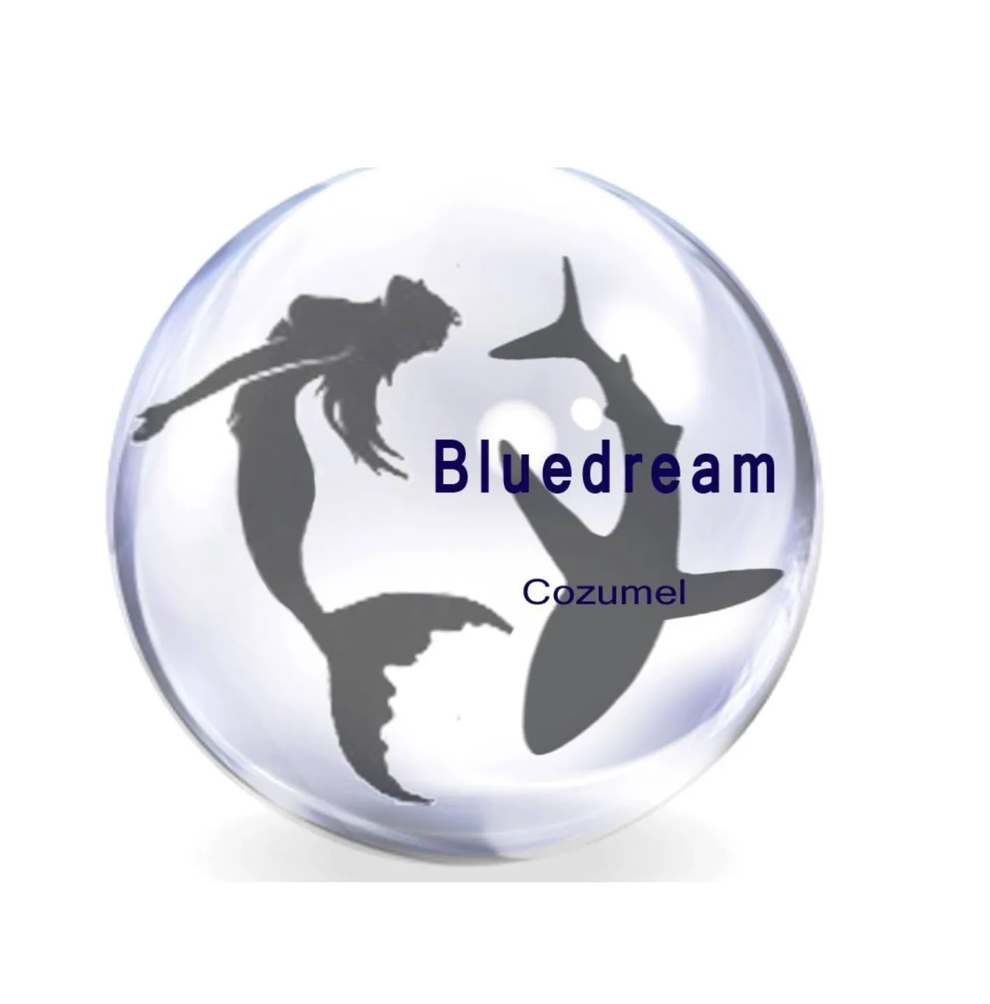 Dive Center Blue Dream Cozumel