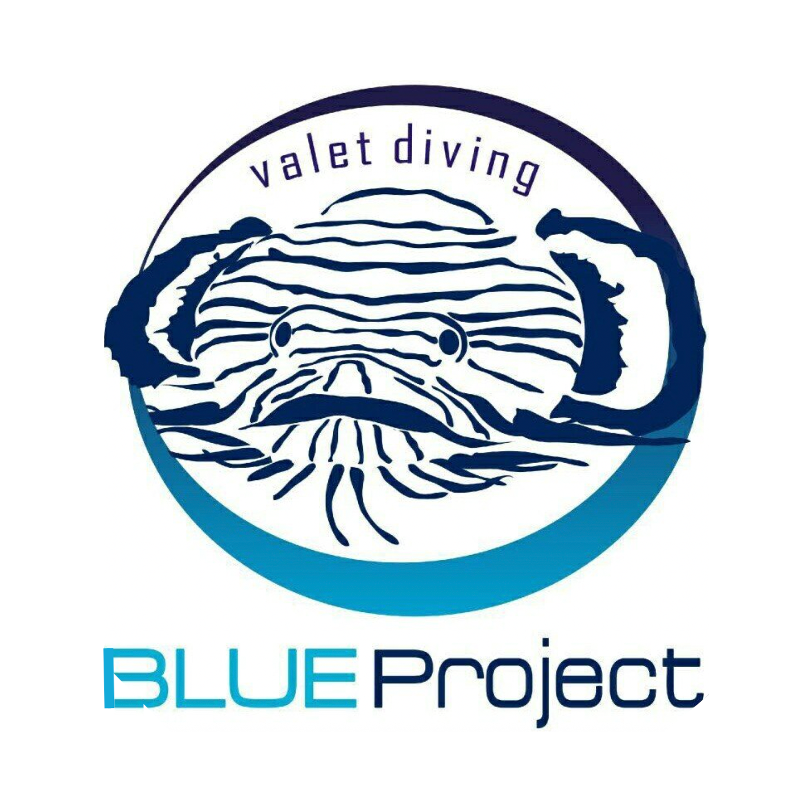 Blue Project Cozumel: Conservation-Focused Scuba Diving