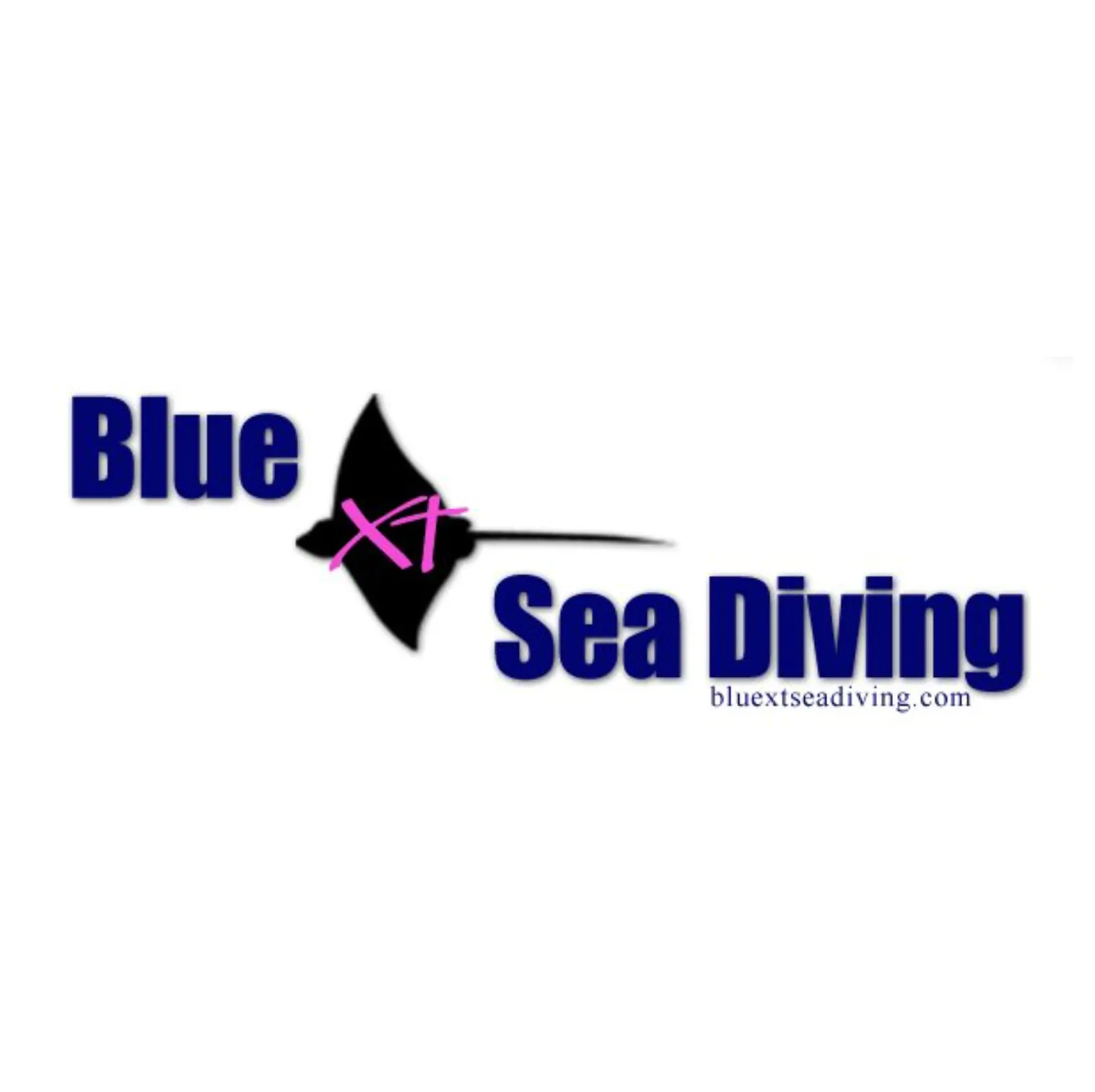 BlueXTSea Diving Cozumel
