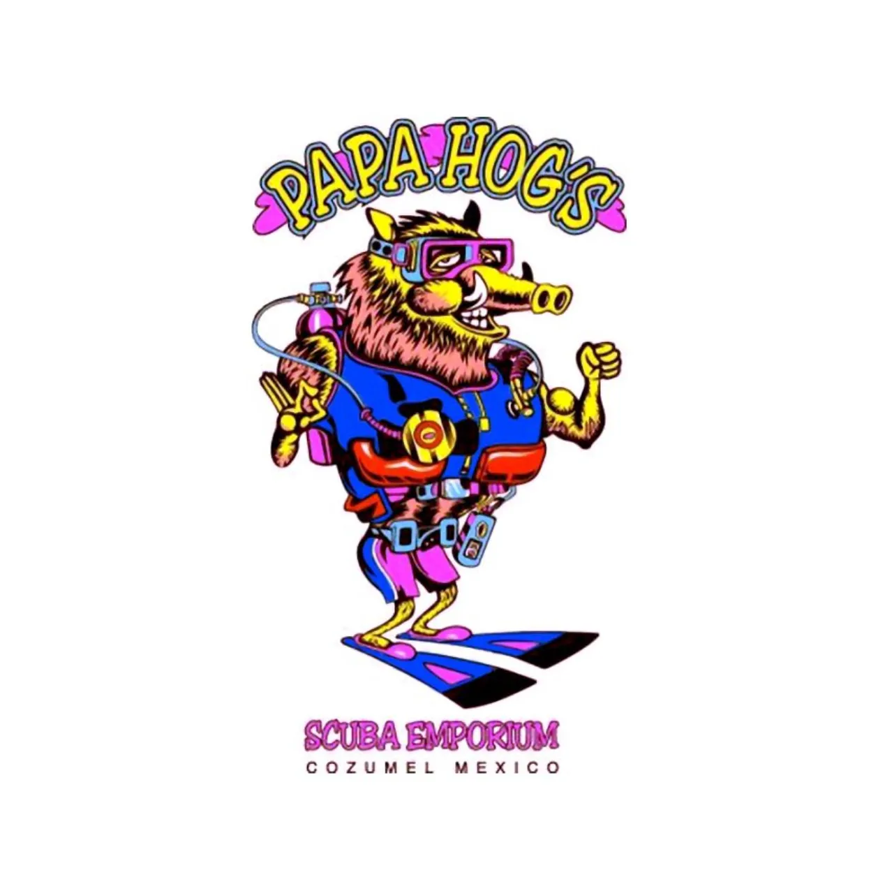Papa Hogs Scuba Emporium Cozumel dive center in Cozumel, Mexico