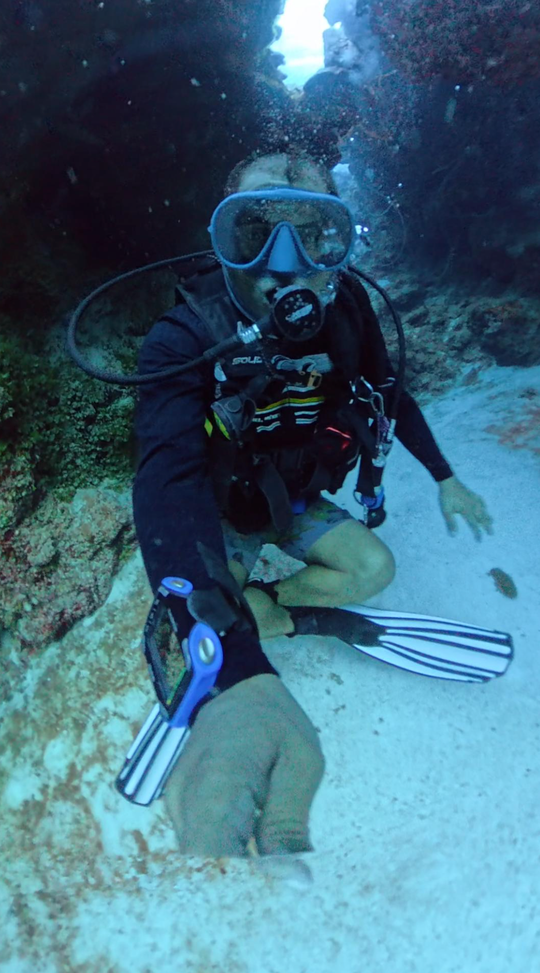 Octavio Silvestrus — freelance dive professional in Cozumel, Mexico — gallery photo