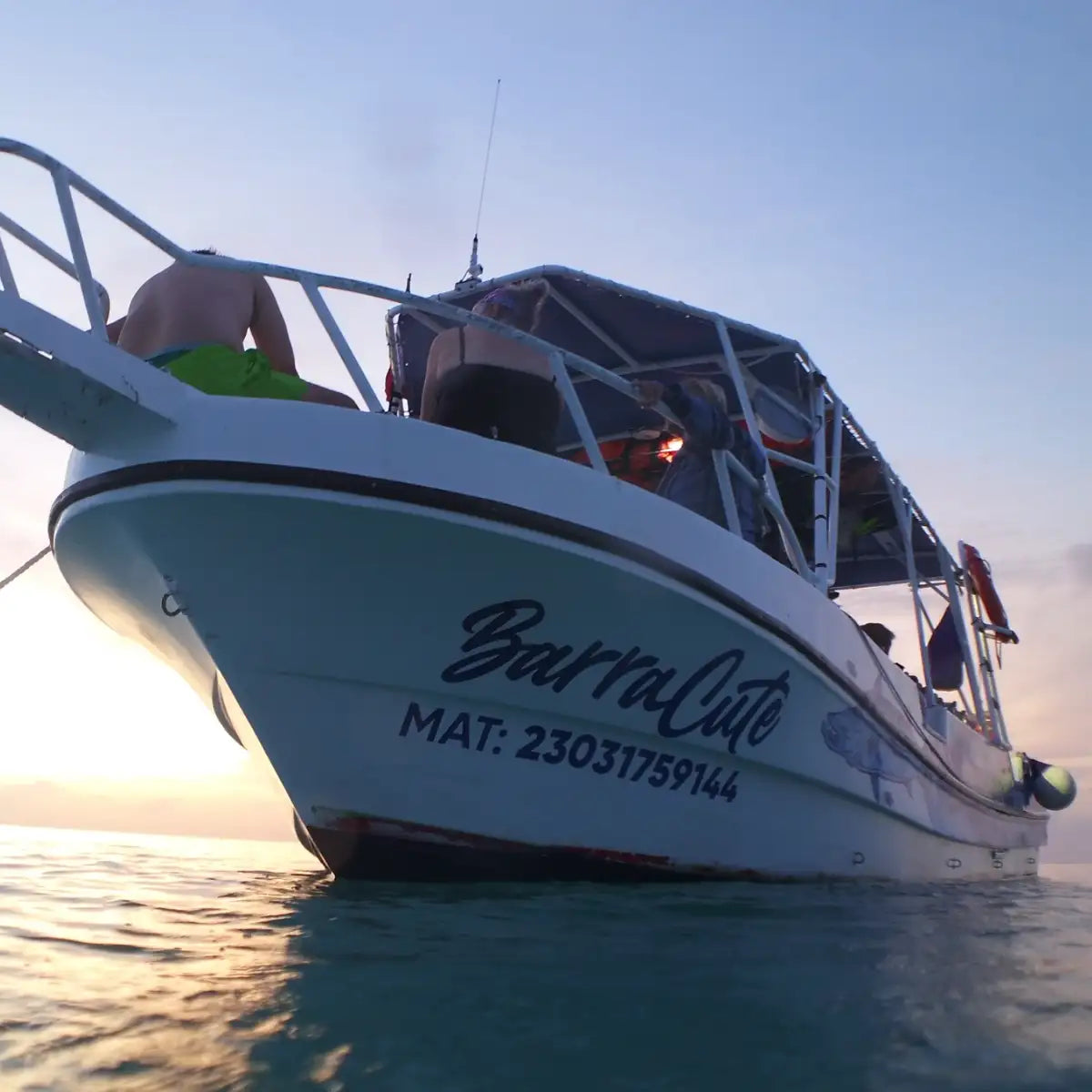 Agua Clara Diving Cozumel: The Complete Guide — Cozumel, Mexico