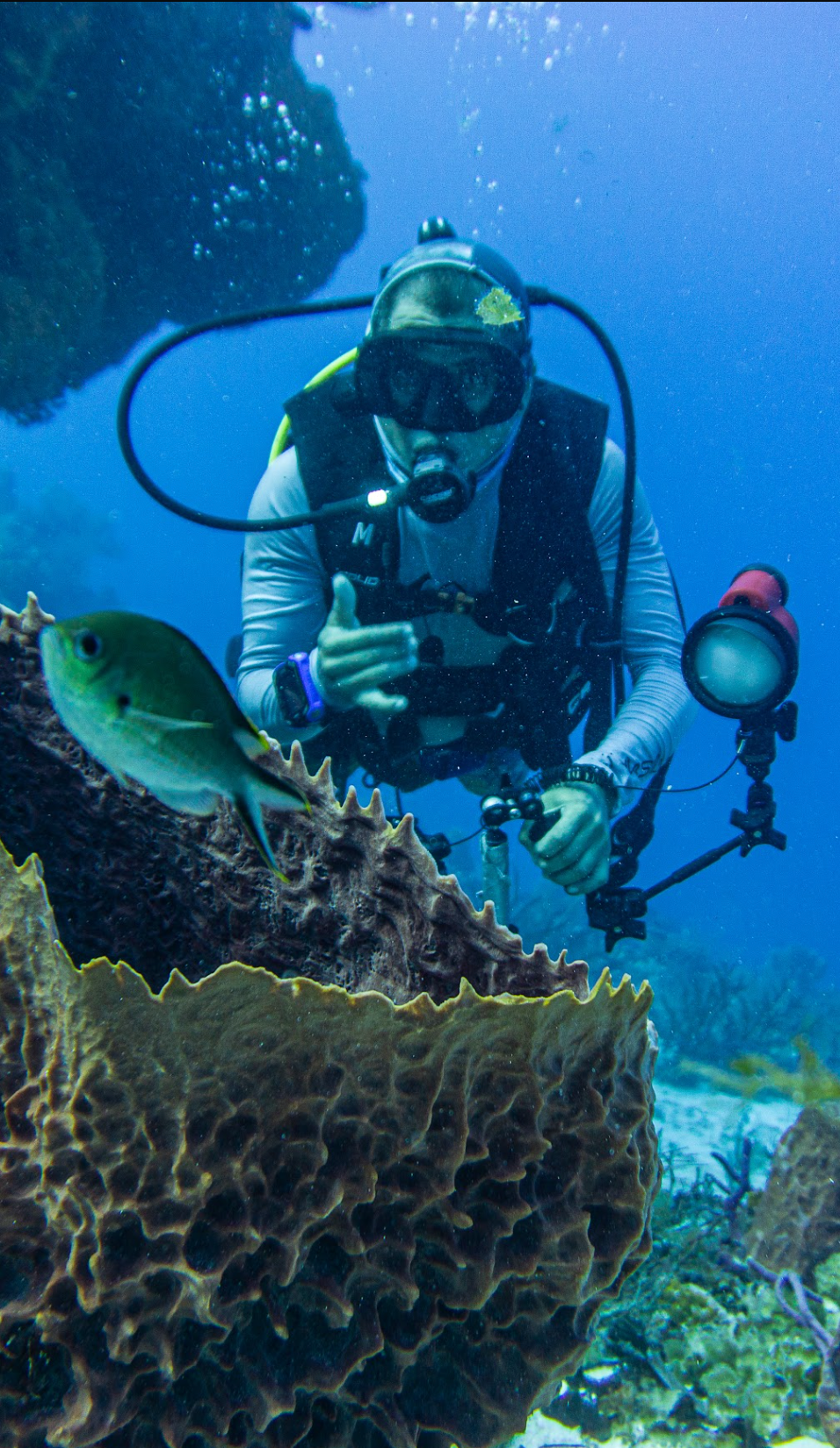 Octavio Silvestrus — freelance dive professional in Cozumel, Mexico — gallery photo
