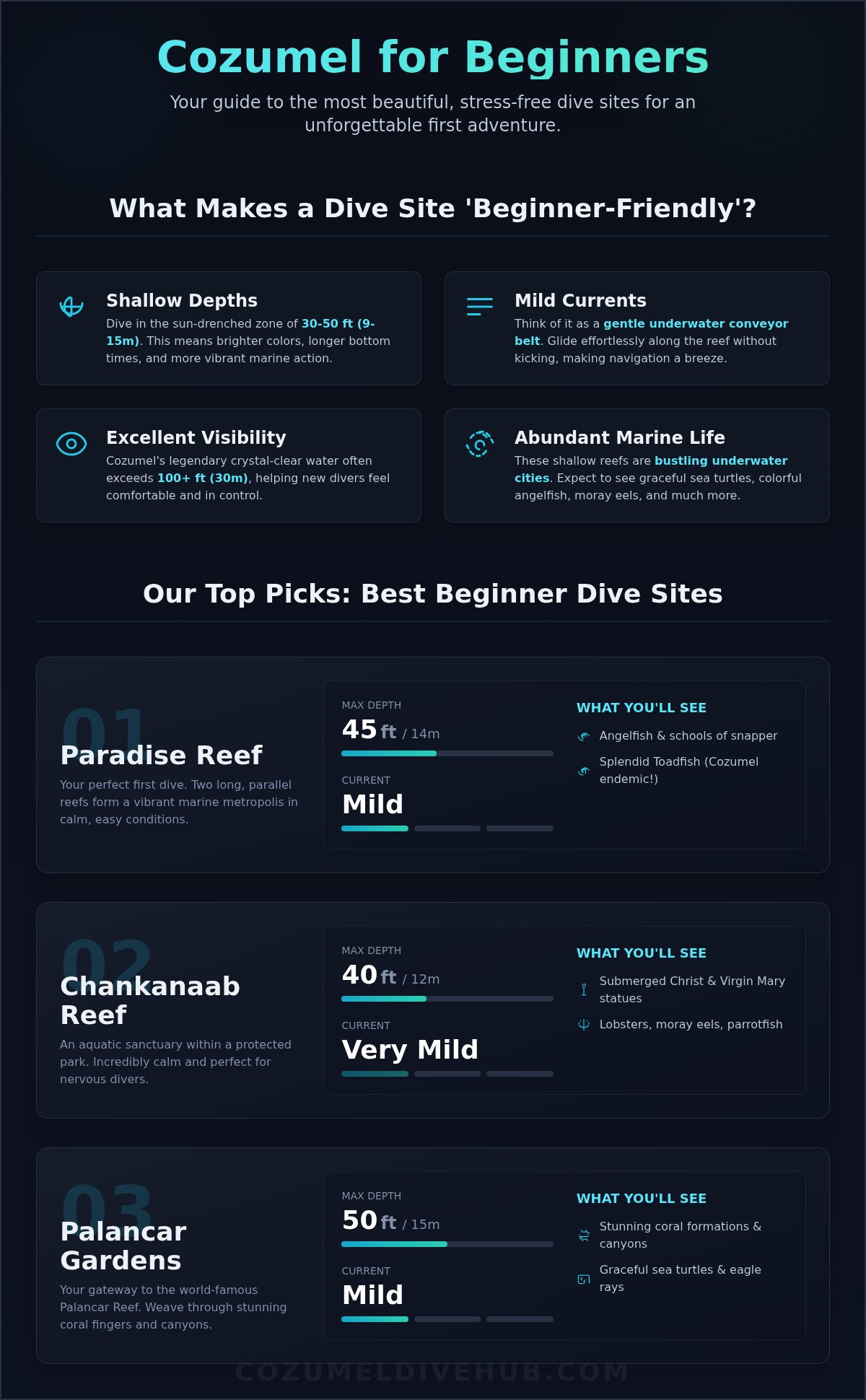 Best dive sites in cozumel for beginners