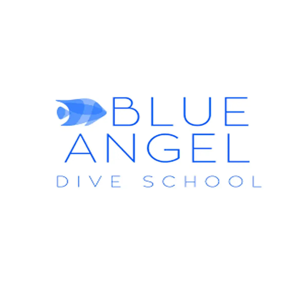 Blue Angel Dive Shop & Resort Cozumel dive center in Cozumel, Mexico — gallery photo