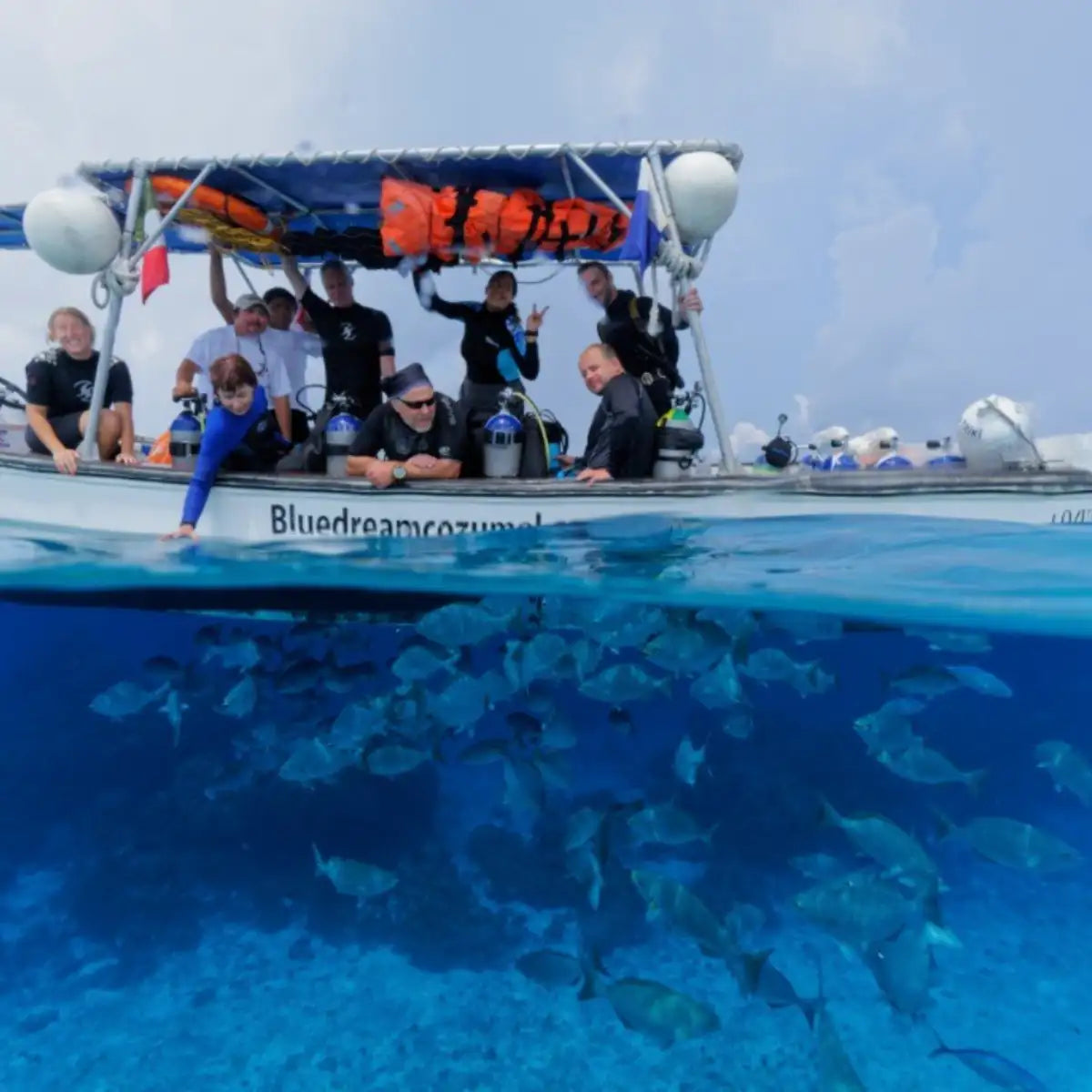 Blue Dream Cozumel: The Complete Guide — Cozumel, Mexico