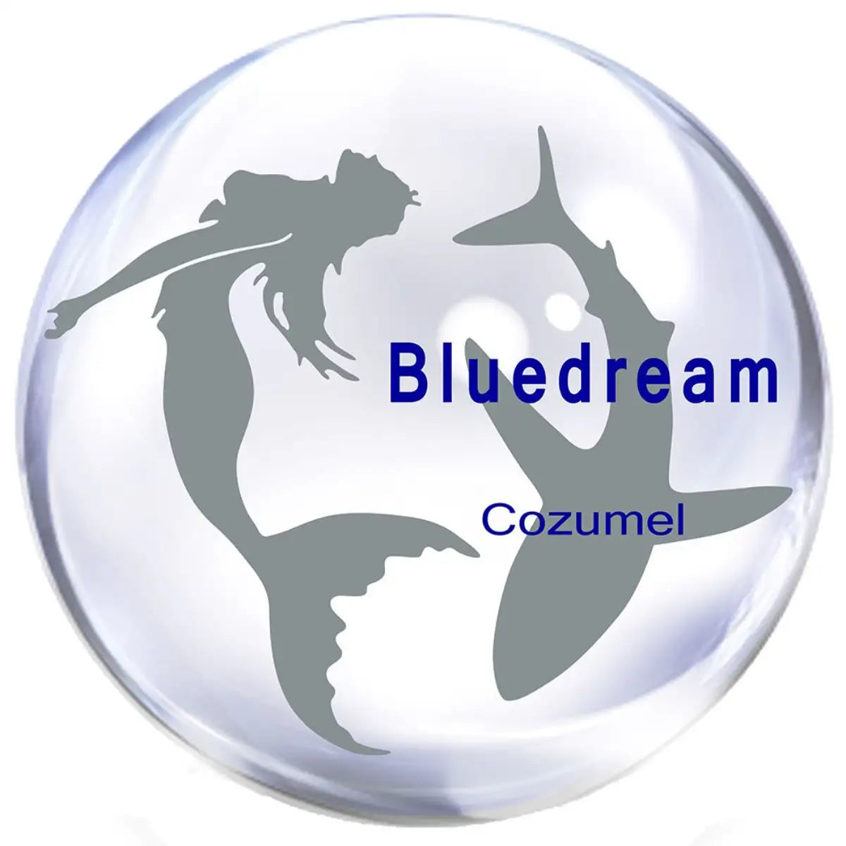 Blue Dream Cozumel logo