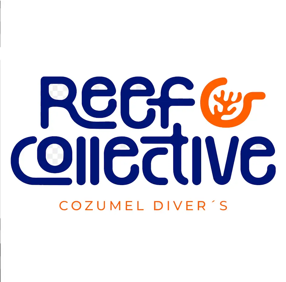 REEF COLLECTIVE Cozumel Divers
