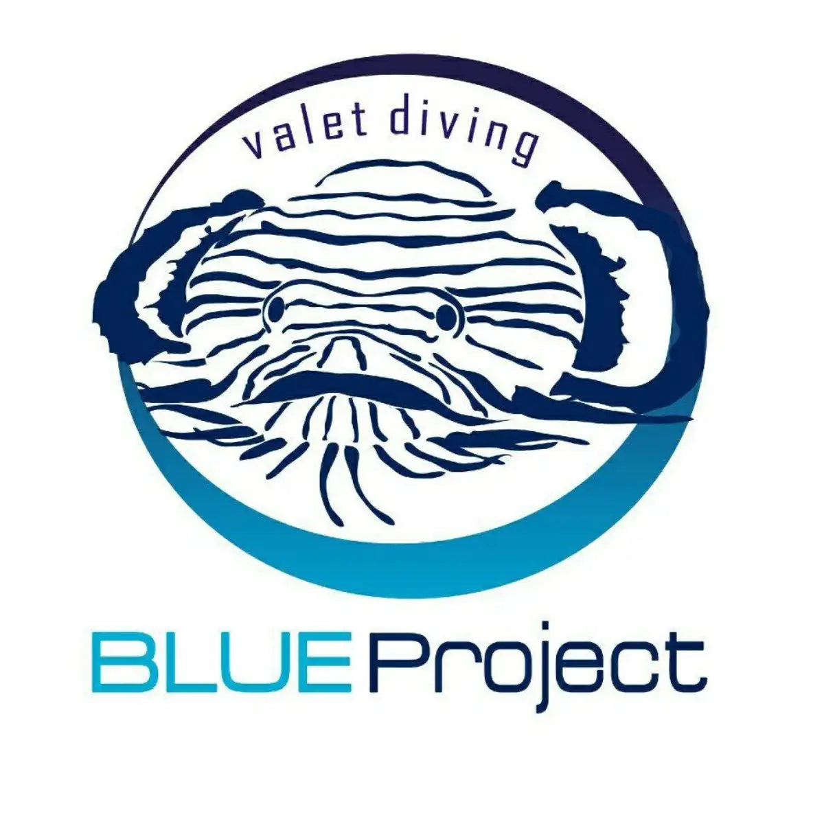 Blue Project Cozumel logo