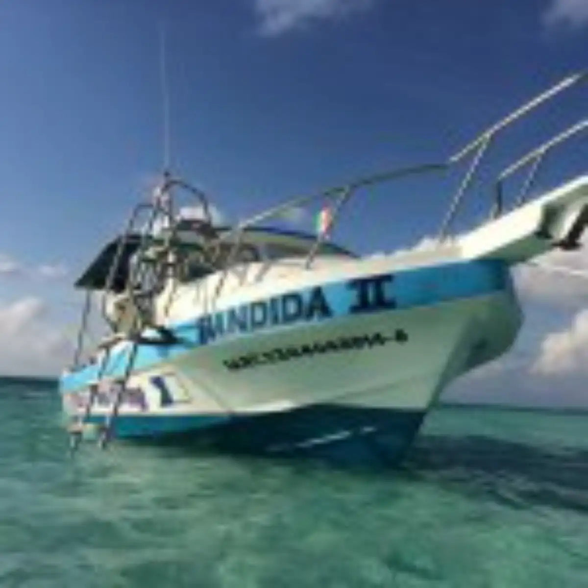 BlueXTSea Diving Cozumel: The Complete Guide — Cozumel, Mexico