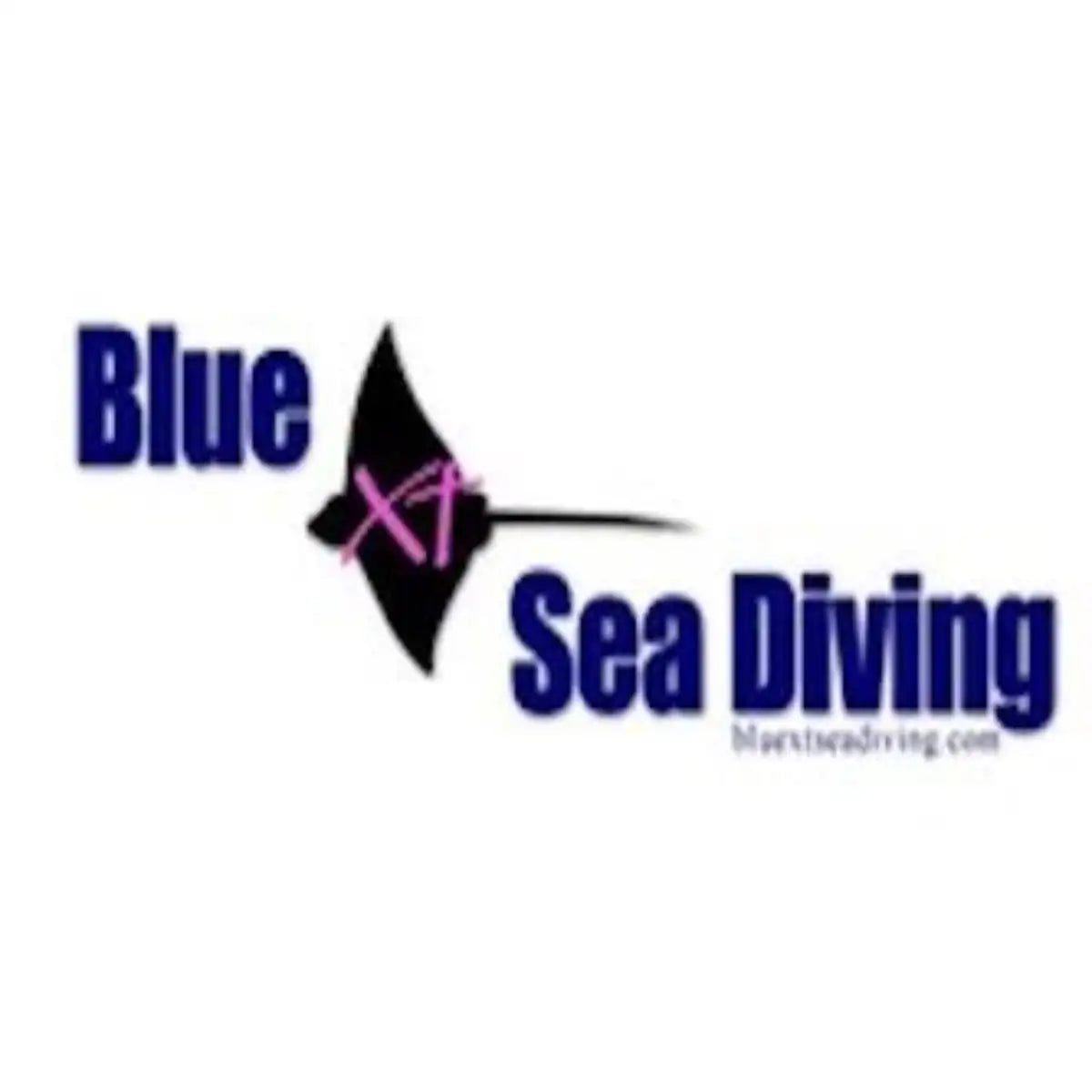 BlueXTSea Diving Cozumel logo