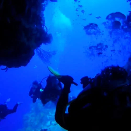Colombia Deep Reef Cozumel Dive Site