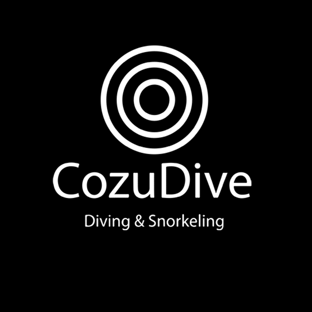 CozuDive Cozumel: The Complete Guide — Cozumel, Mexico