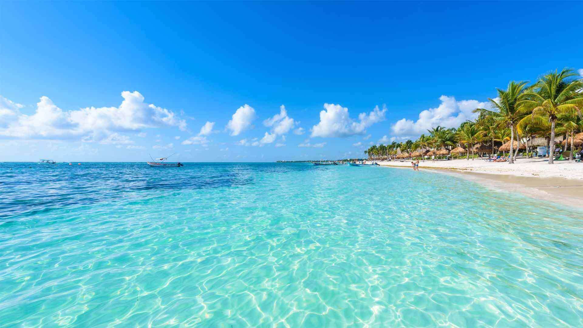 Cozumel Best Tours