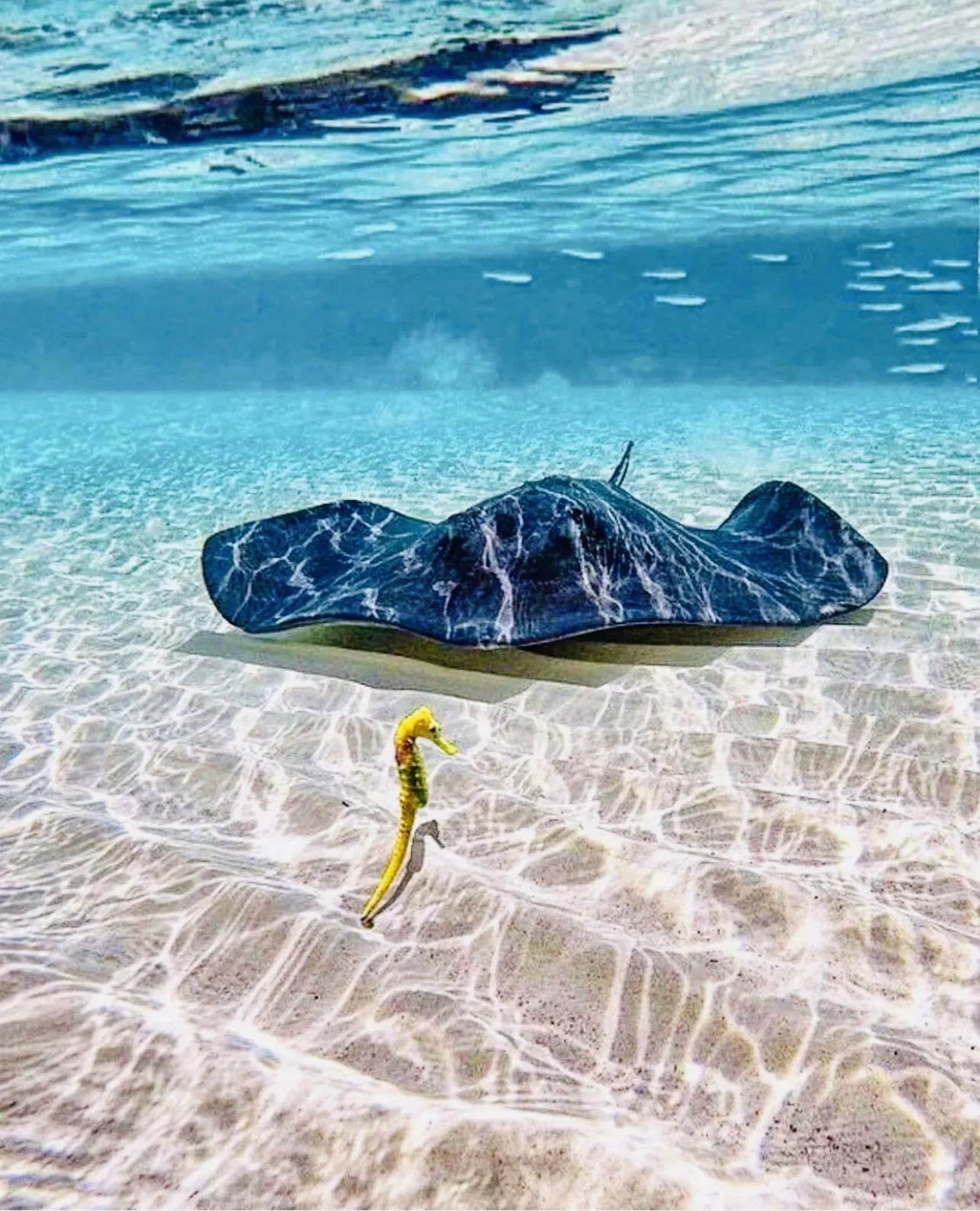 Cozumel Cruise Tours