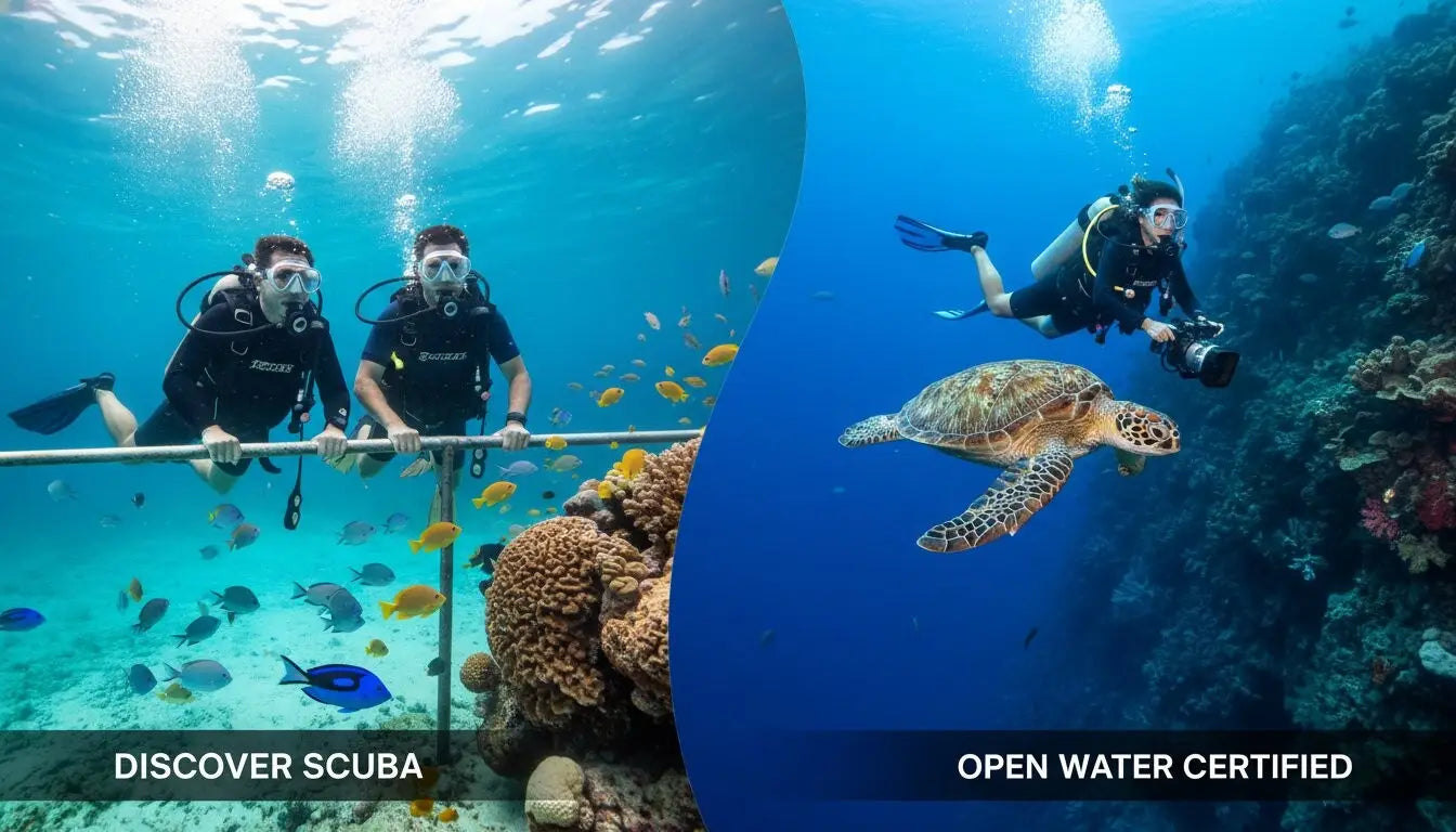 Choosing between an introductory dive and Open Water certification in Cozumel