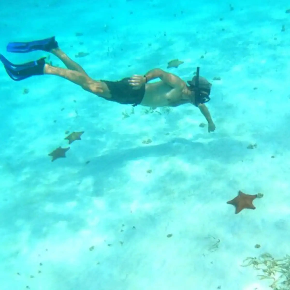 Cozumel Dive Center dive center in Cozumel, Mexico — gallery photo