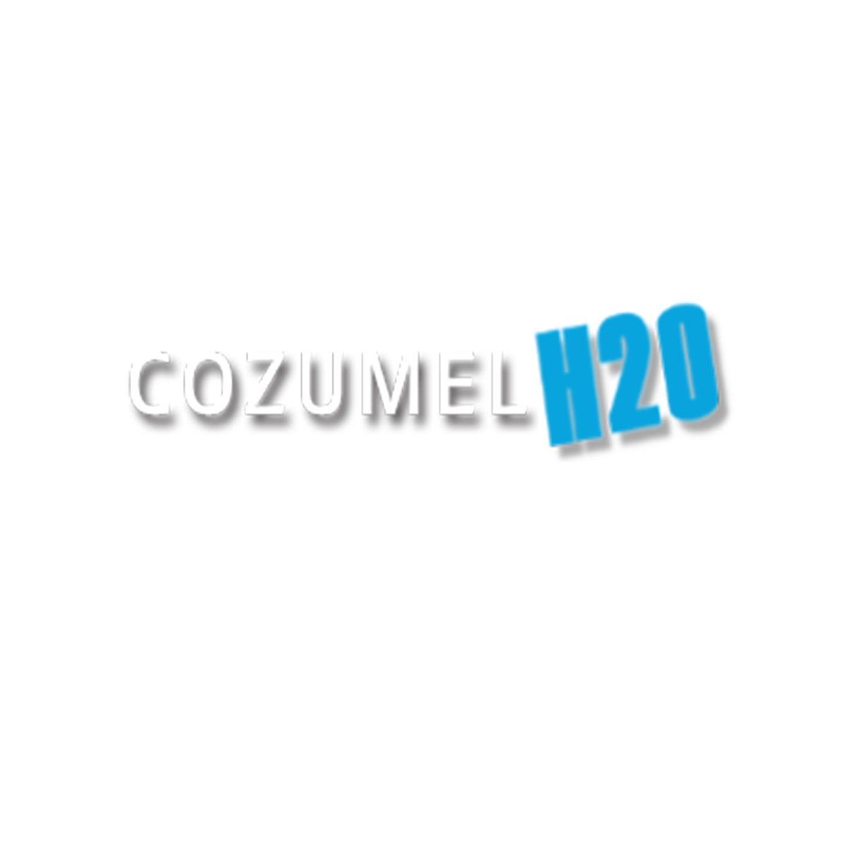 Cozumel H2O – Fast Boats & Small-Group Premium Dive Adventures dive center in Cozumel, Mexico — gallery photo