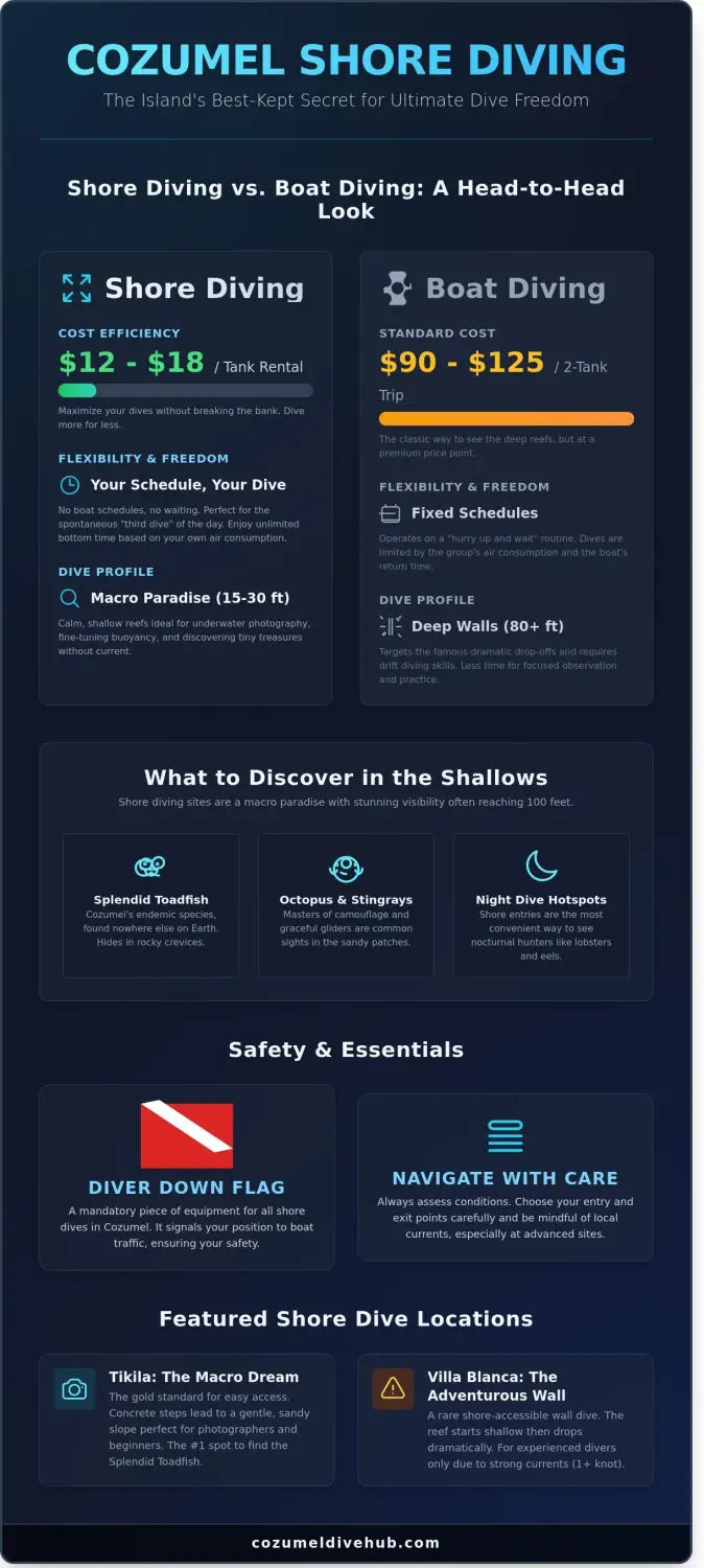 Cozumel shore diving locations infographic - visual guide