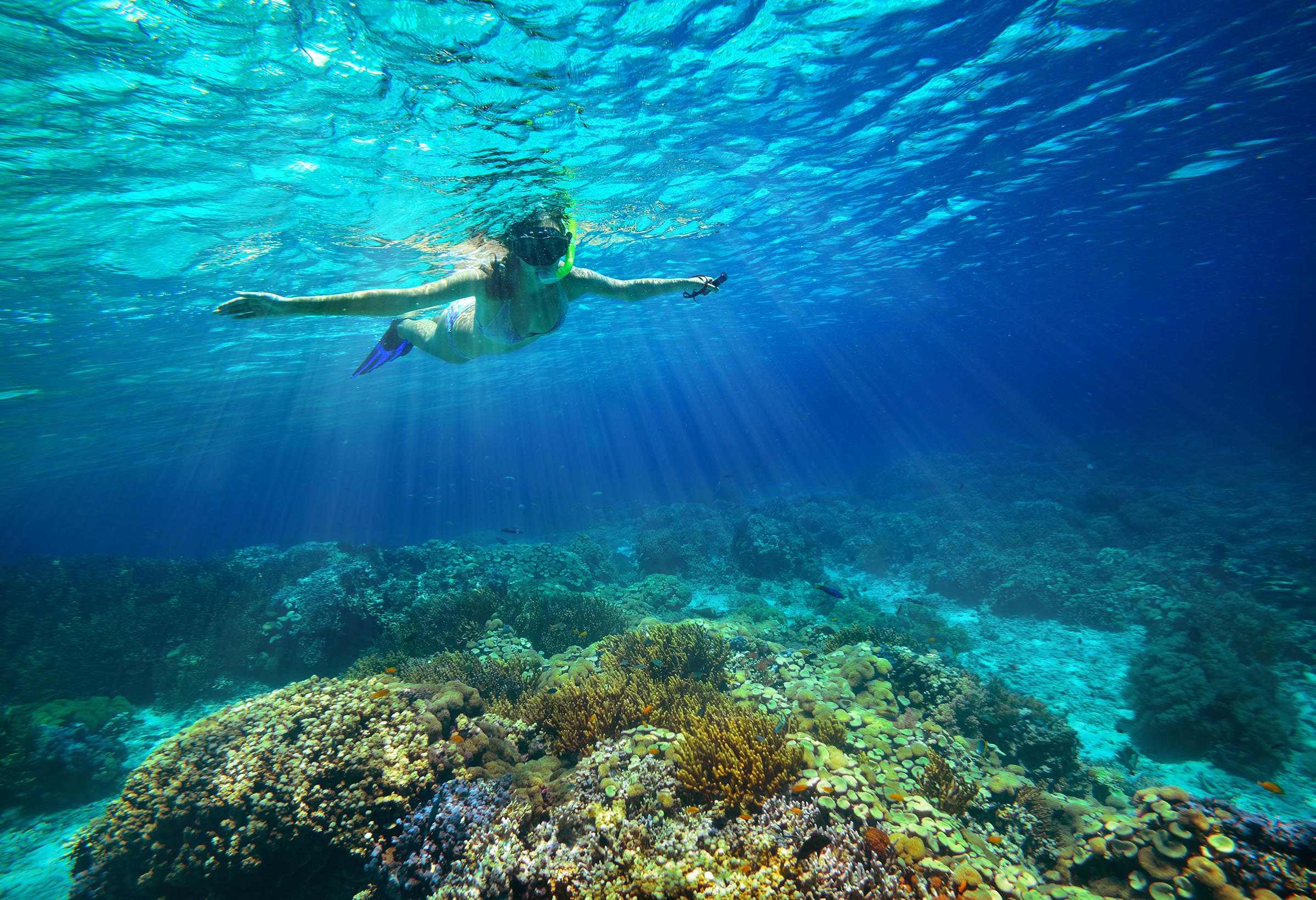 Cozumel Snorkel Center
