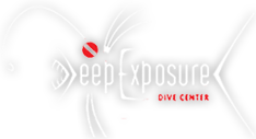 Deep Exposure Dive Center dive center logo, Cozumel, Mexico
