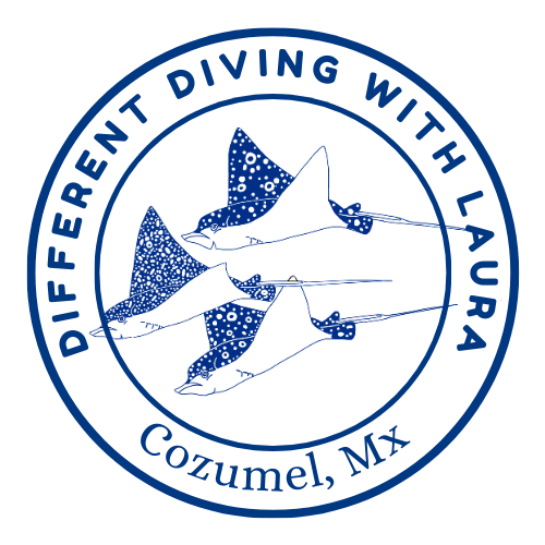 Different Diving with Laura Cozumel dive center logo, Cozumel, Mexico