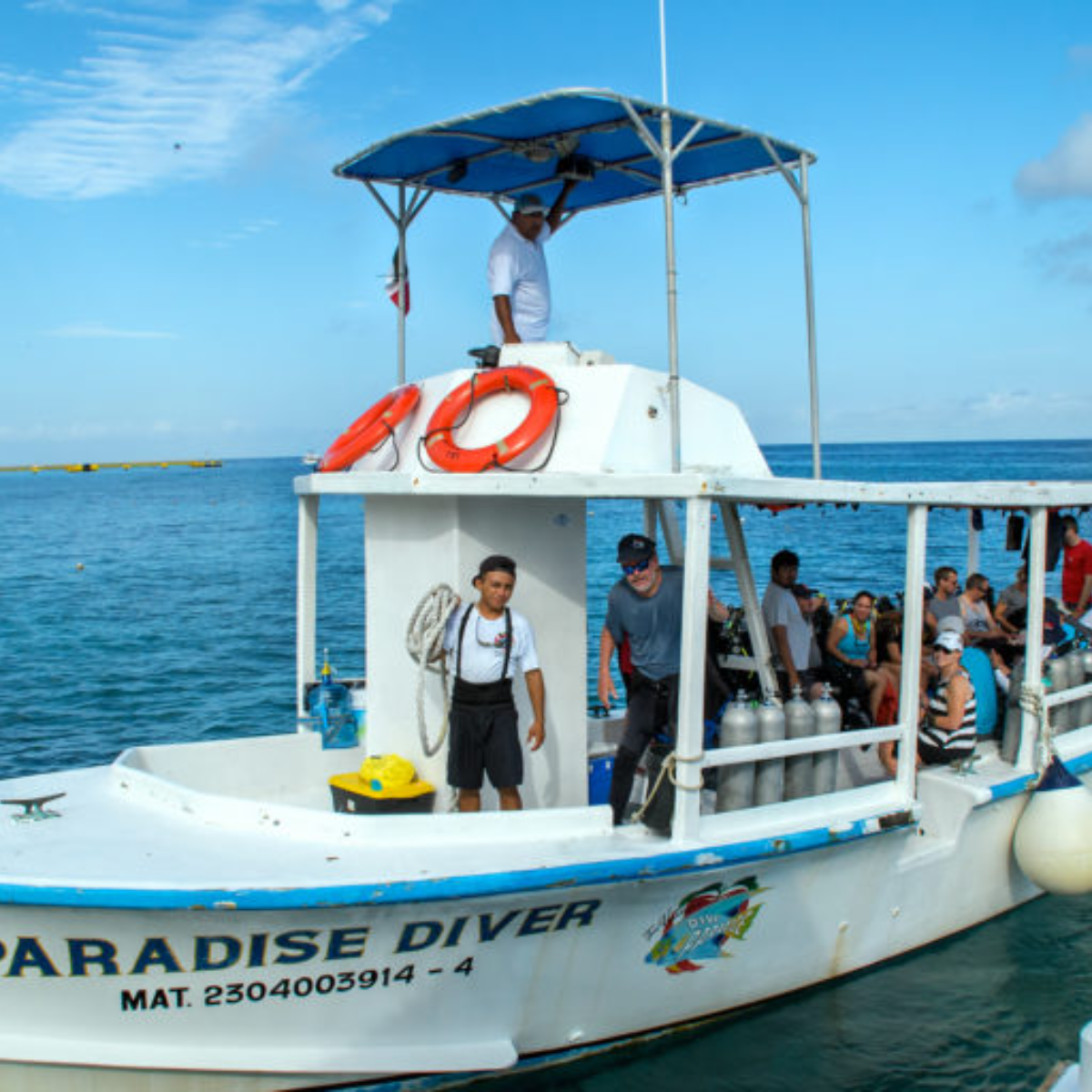 Dive Paradise Cozumel: The Complete Guide — Cozumel, Mexico