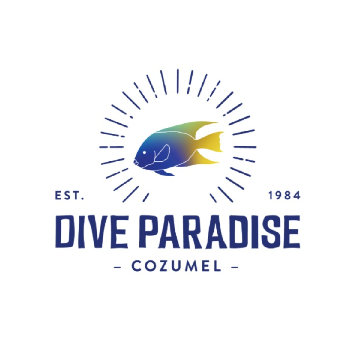 Dive Paradise Cozumel dive center in Cozumel, Mexico — gallery photo