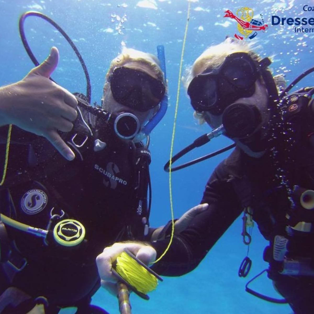 Dressel Divers Cozumel: The Complete Guide to Diving at Iberostar — Cozumel, Mexico