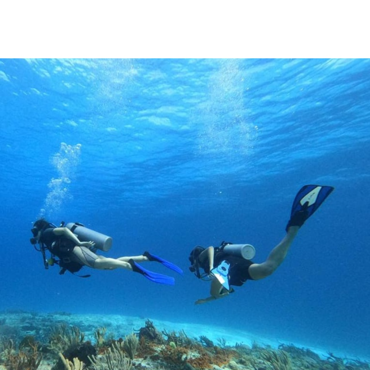 Eagle Ray Divers Cozumel: The Complete Guide — Cozumel, Mexico