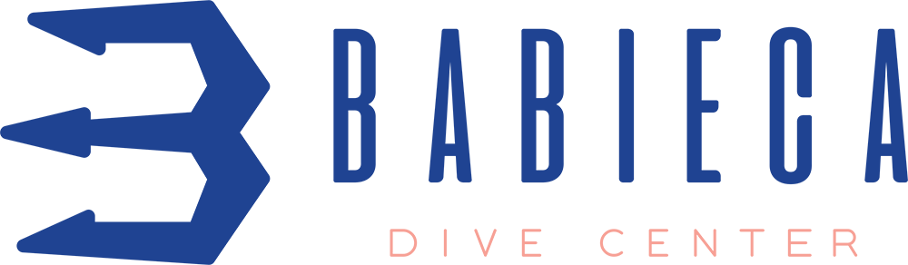 Babieca Dive Center dive center logo, Cozumel, Mexico