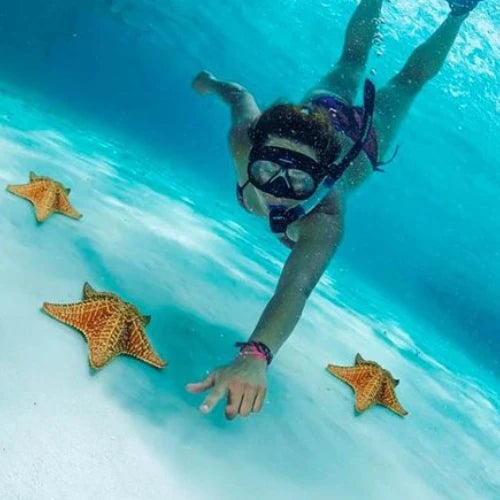 Starfish on the shallow sandbar at El Cielo, Cozumel