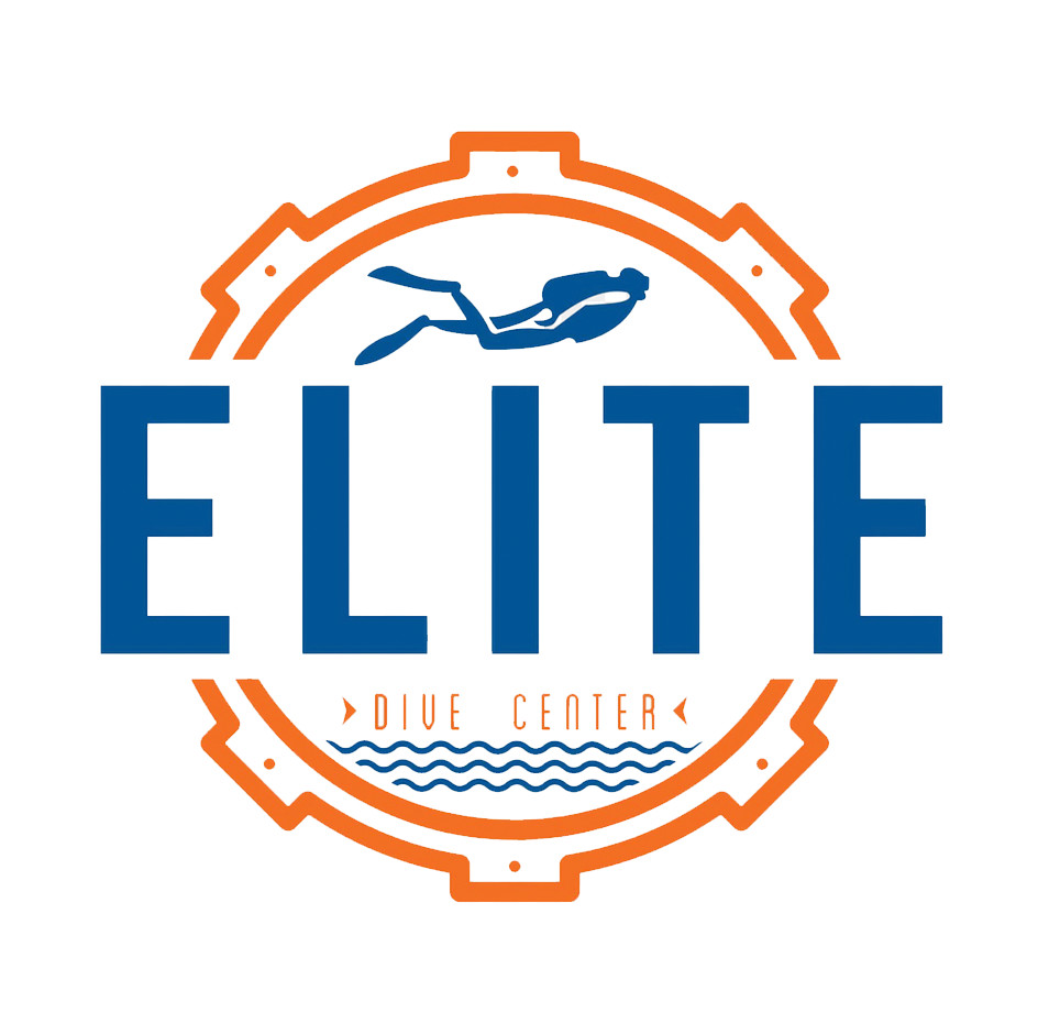 Elite Dive Center Cozumel: The Complete Guide — Cozumel, Mexico — gallery photo