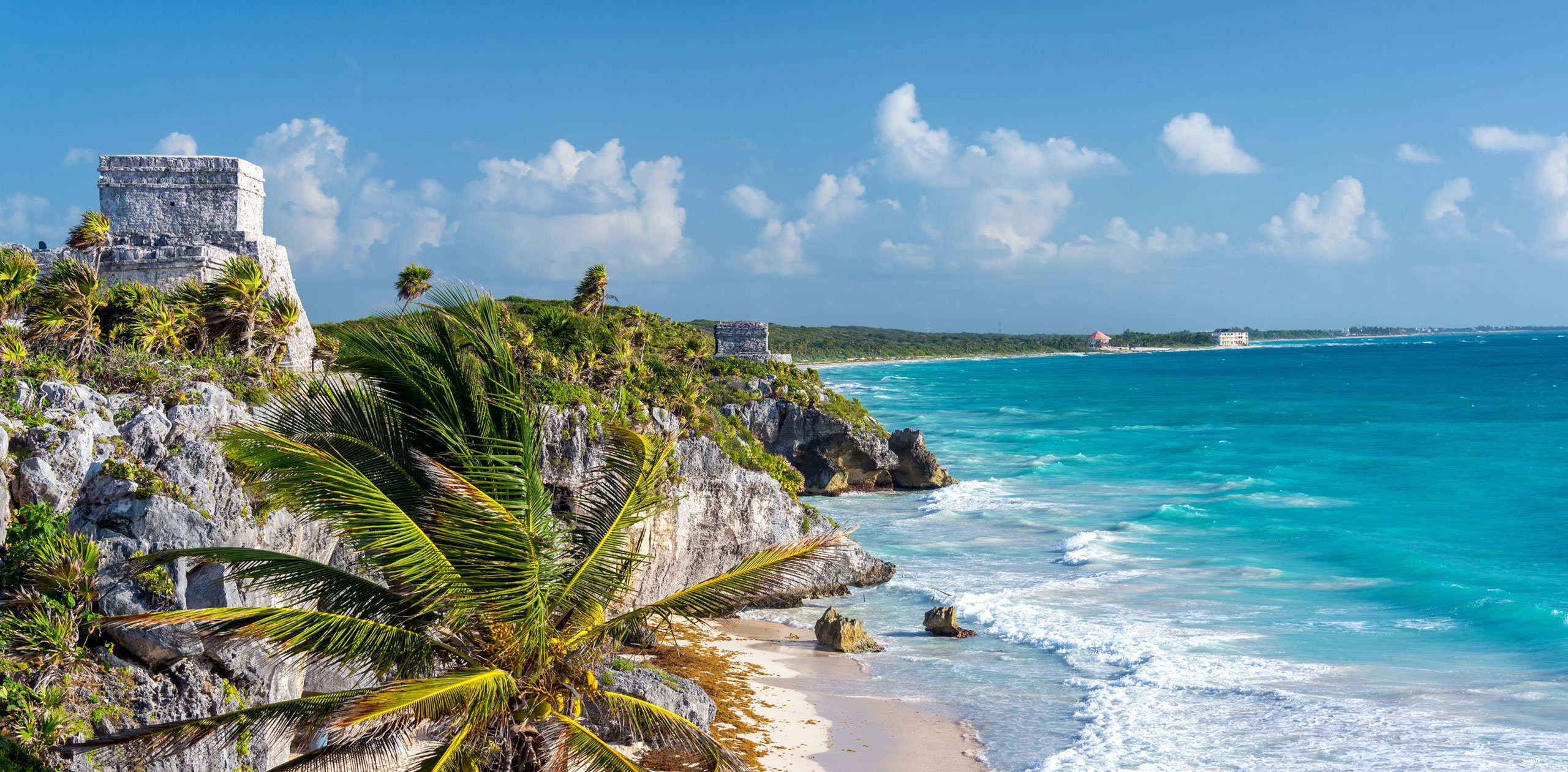 Flex Eco Taxi Cozumel Shuttle