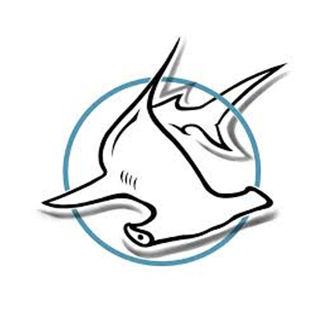 Hammer Head Diving & Snorkeling logo — dive center in Cozumel, Mexico