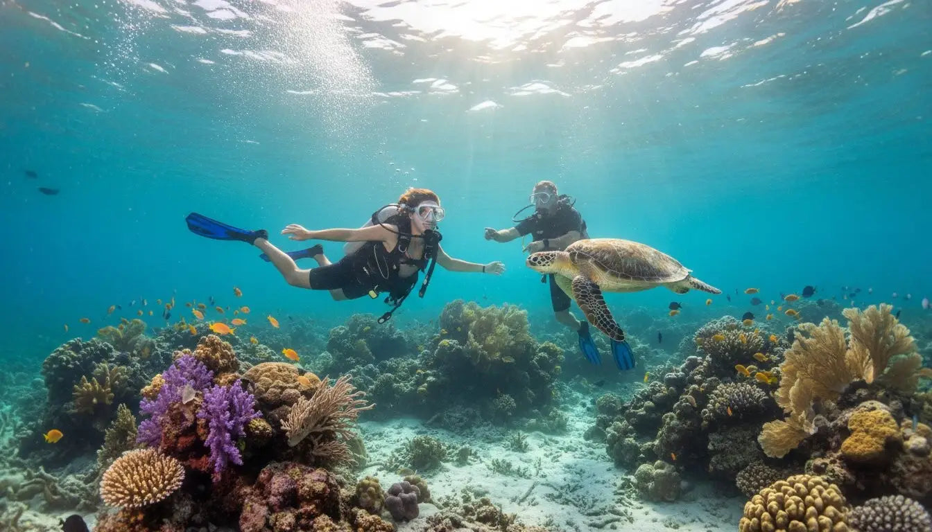 Is Cozumel Diving Good for Beginners? A Local Expert's Guide to Your First Adventure