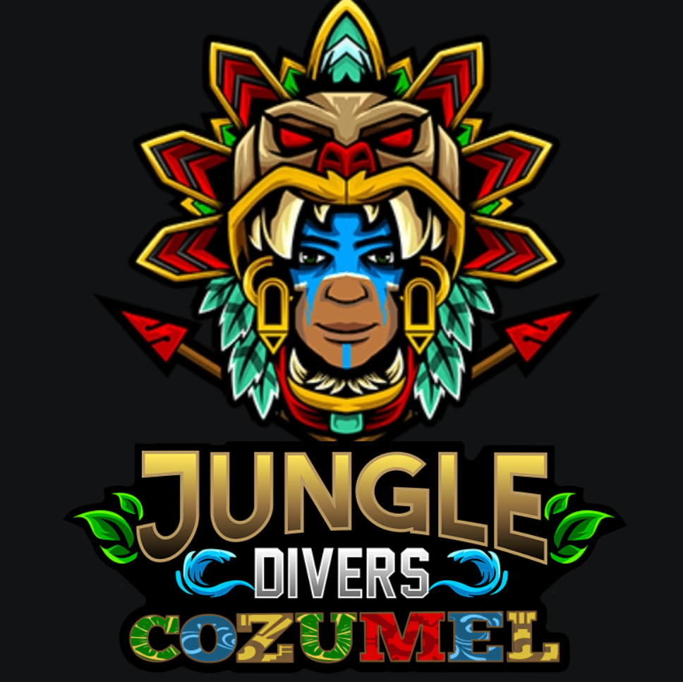 Jungle Divers Cozumel: The Complete Guide — Cozumel, Mexico