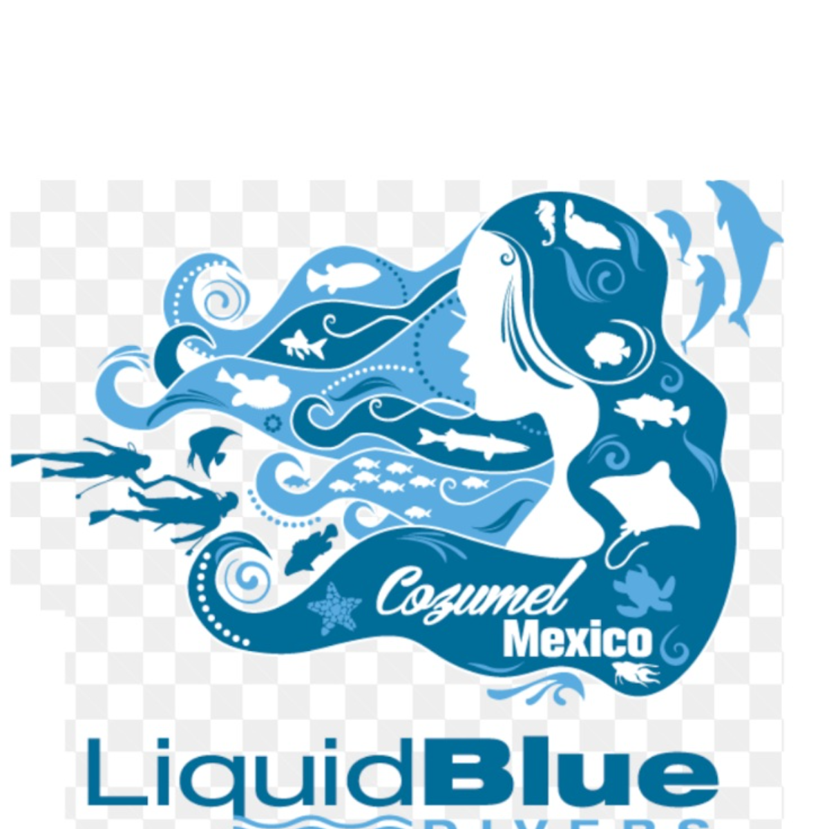 Liquid Blue Divers Cozumel dive center in Cozumel, Mexico — gallery photo