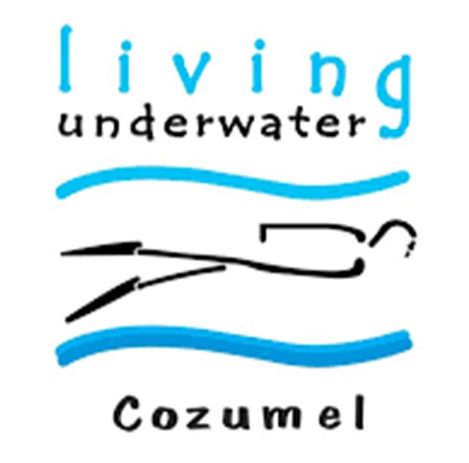 Living Underwater Cozumel dive center in Cozumel, Mexico — gallery photo