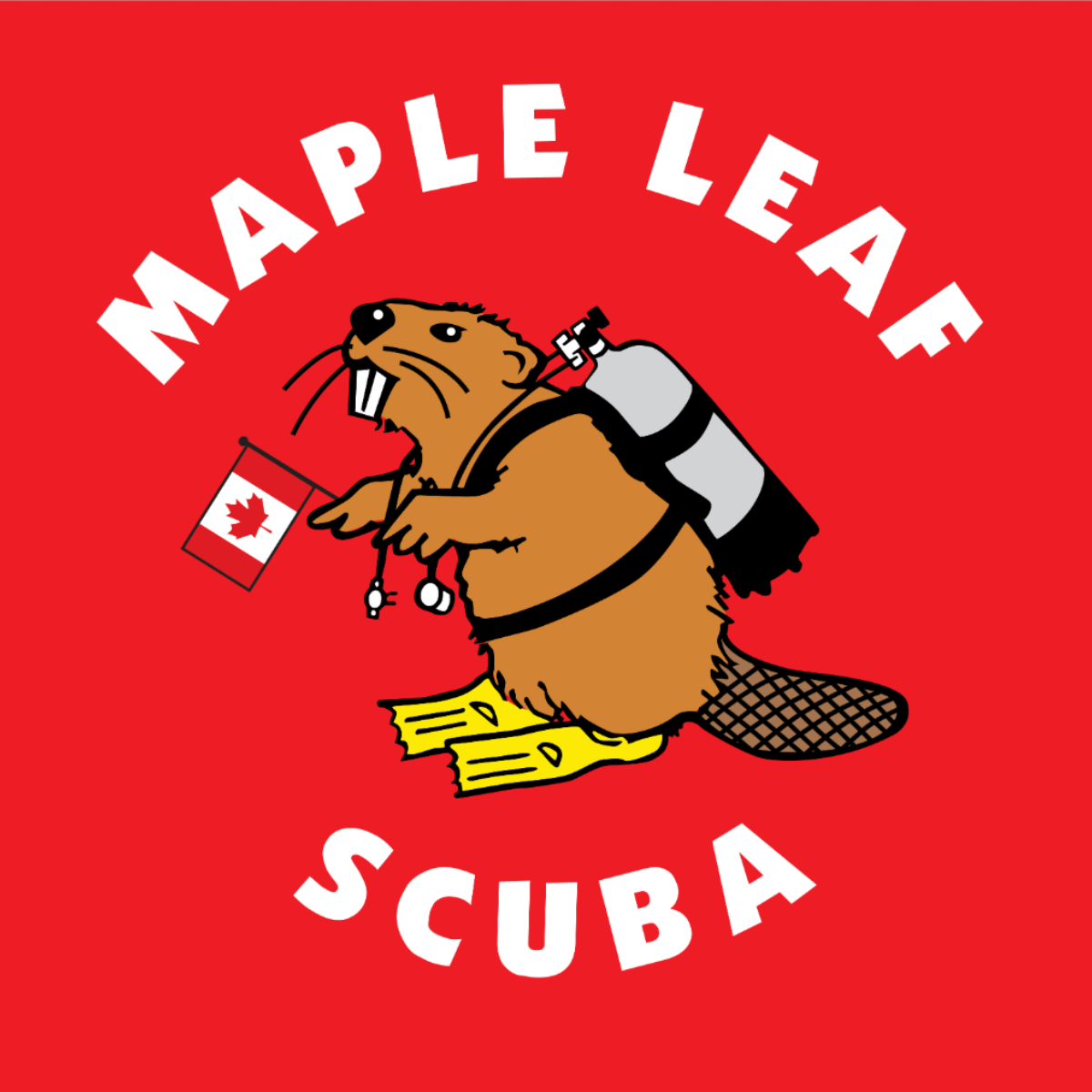 Maple Leaf Scuba Cozumel dive center in Cozumel, Mexico — gallery photo