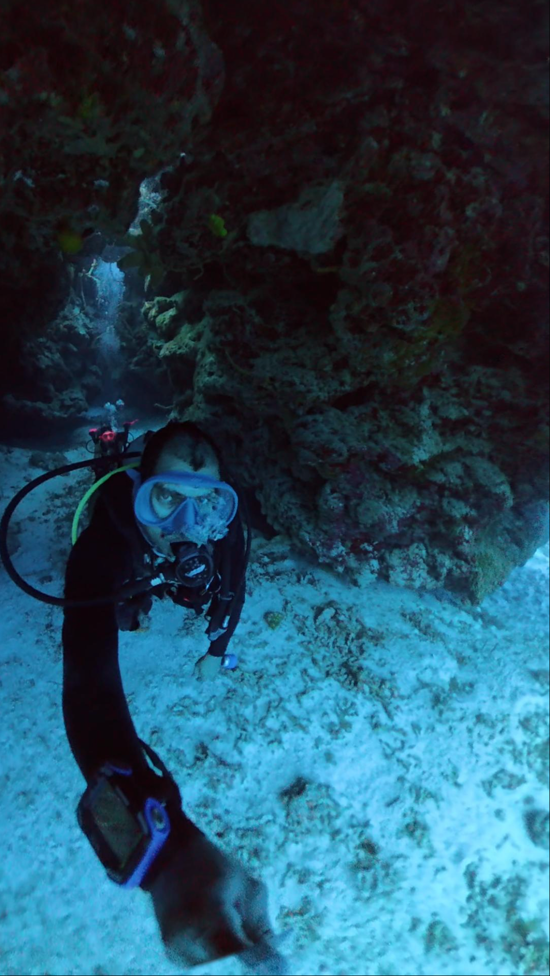Octavio Silvestrus — freelance dive professional in Cozumel, Mexico — gallery photo