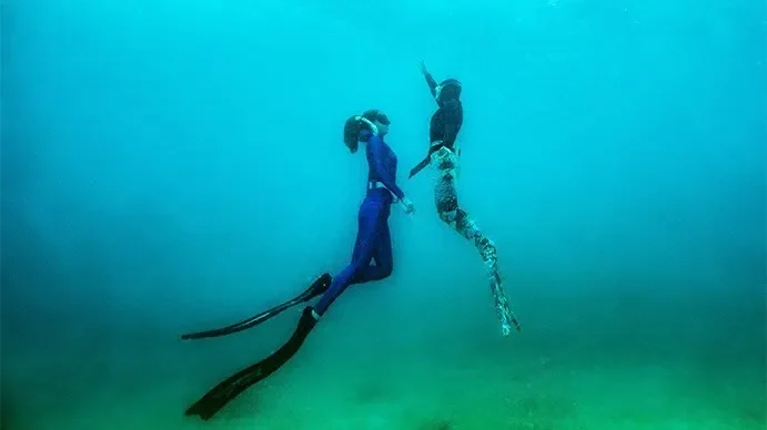 PADI Advanced Mermaid Course in Cozumel