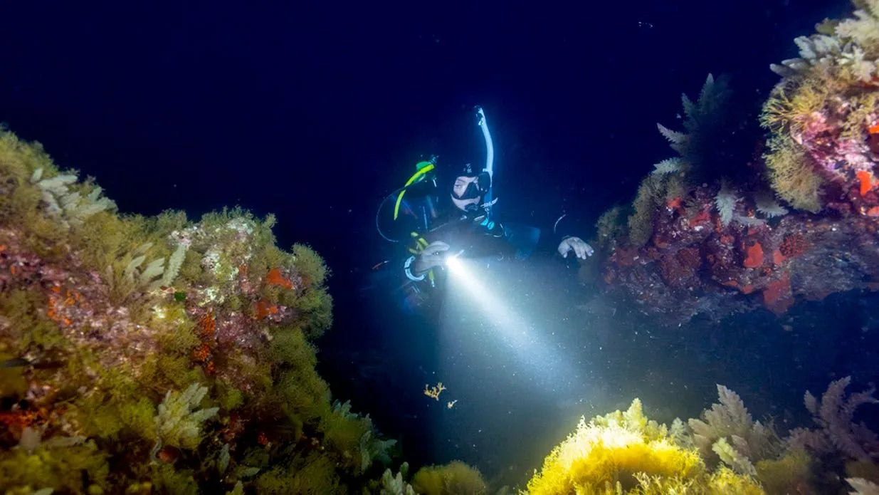 PADI ADVANCED OPEN WATER DIVER COURSE IN COZUMEL