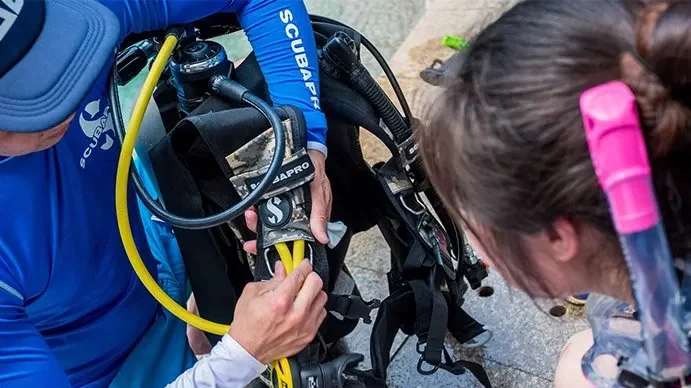 PADI Assistant Instructor Course in Cozumel