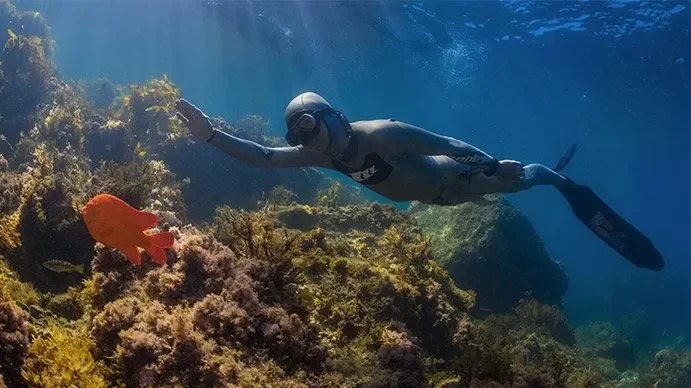 PADI Basic Freediver Course in Cozumel