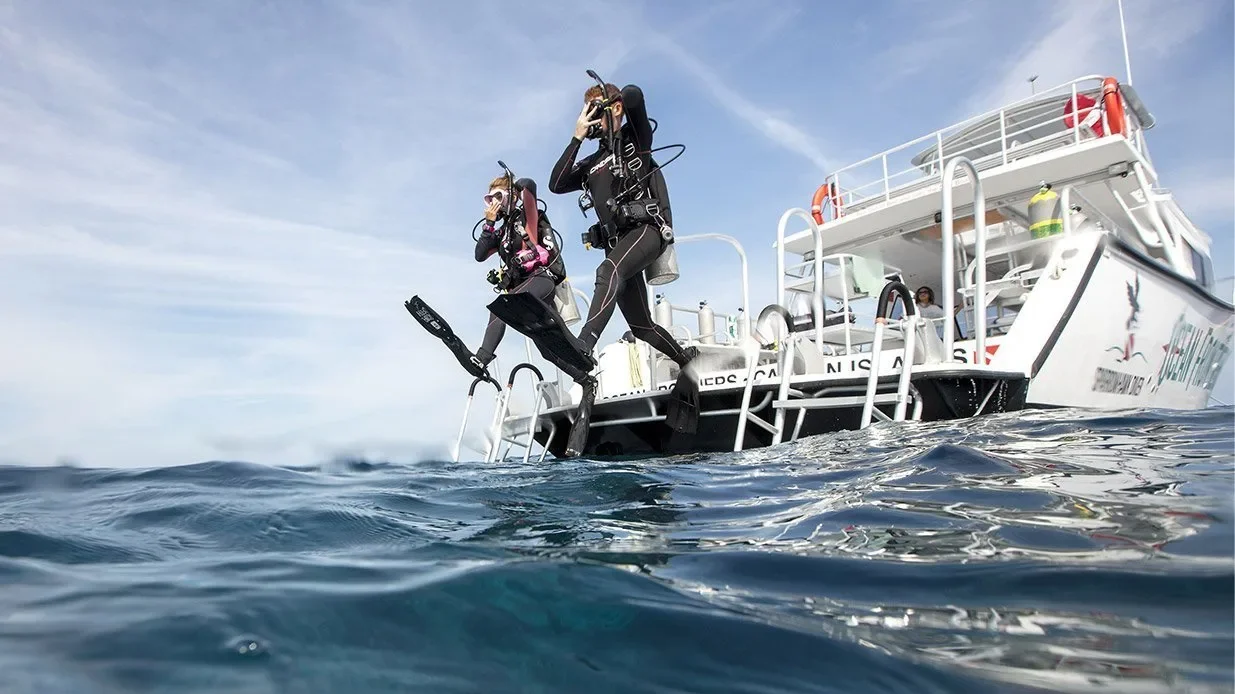 PADI Boat Diver Course in Cozumel