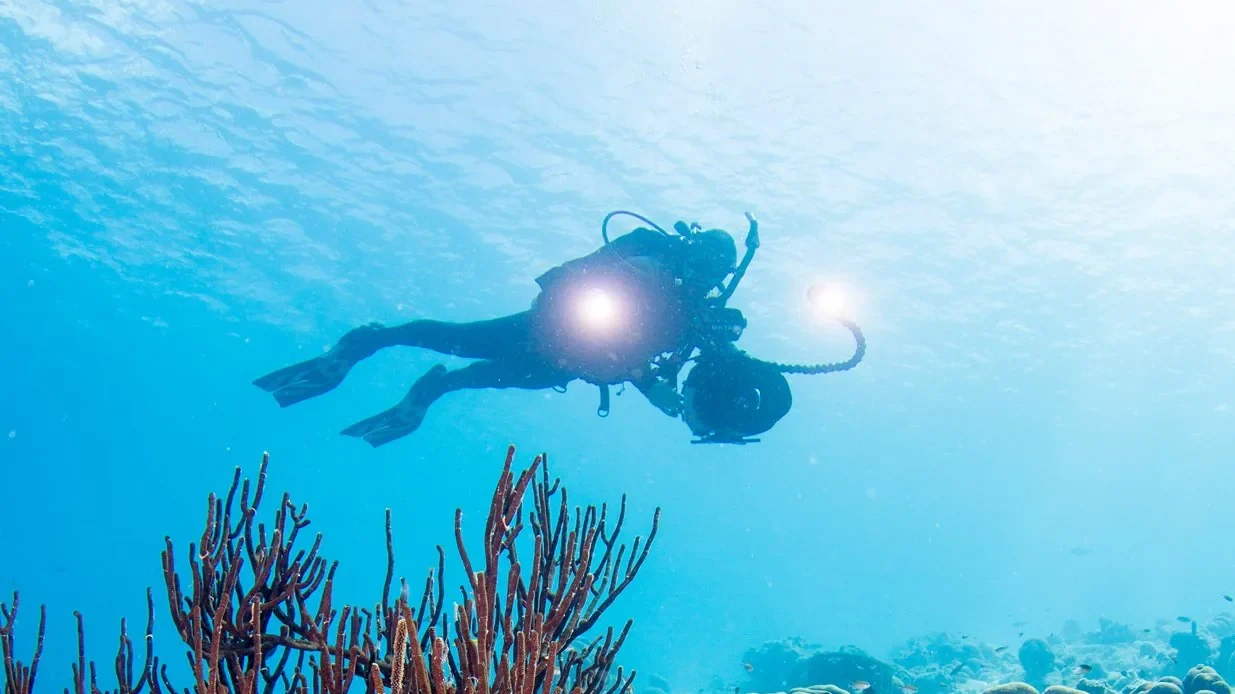 PADI Digital Underwater Photographer Course in Cozumel