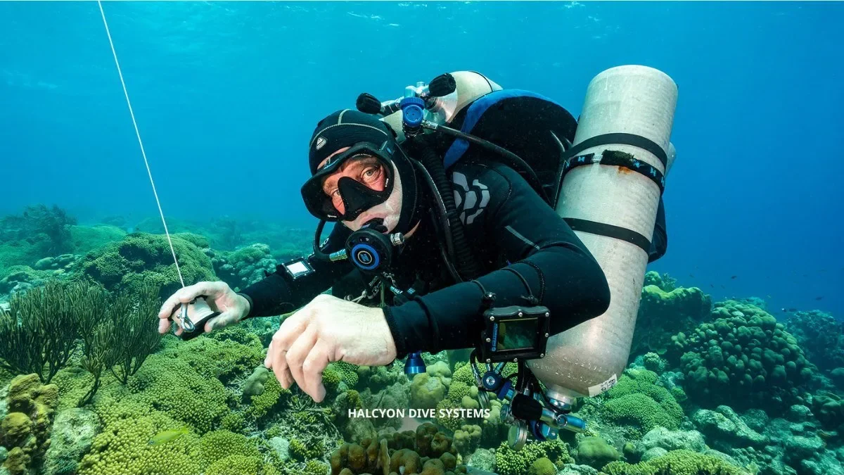 PADI Discover Technical Diving Experience in Cozumel