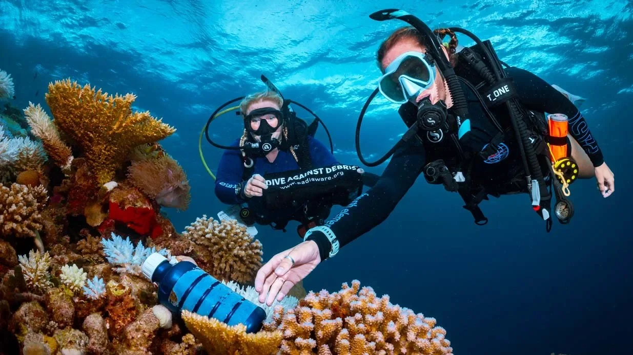 PADI AWARE Specialty Course in Cozumel