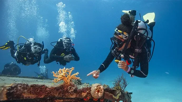 PADI Divemaster Course in Cozumel